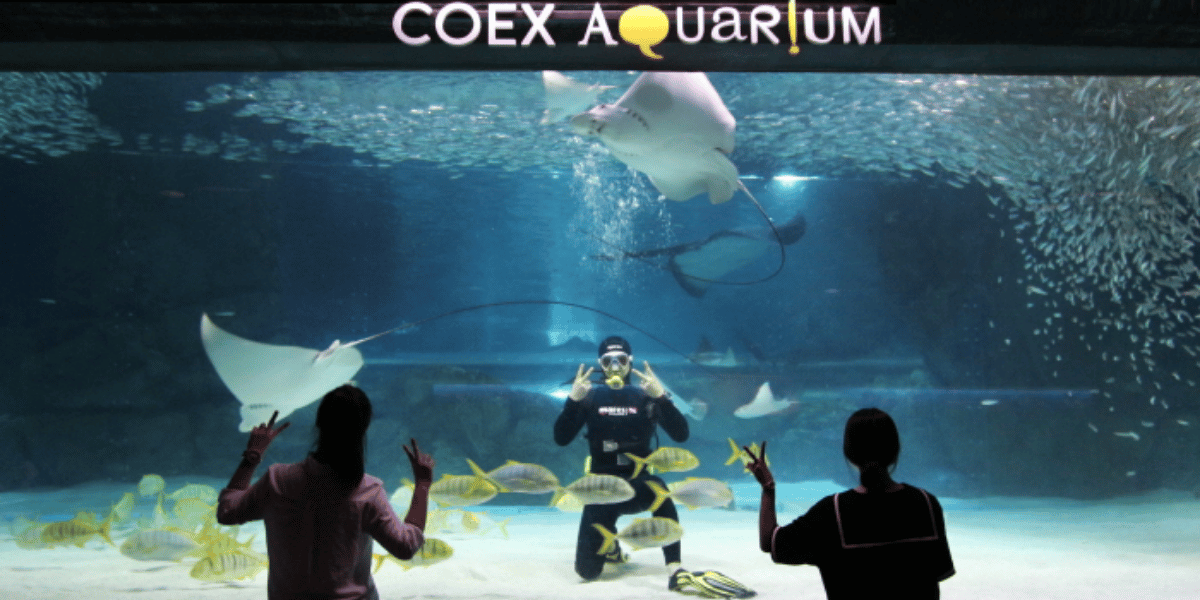 Coex aquarium (2)
