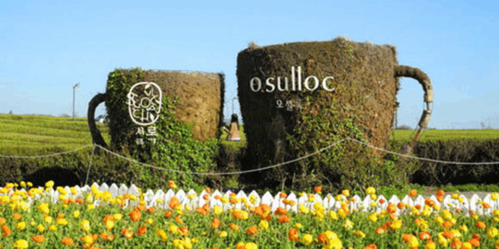 噢雪綠茶博物館